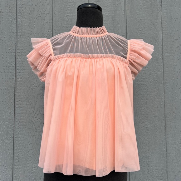 Joie Blush Pink Tulle Mesh Flutter Sleeve Ruffle Blouse, S - Picture 1 of 12